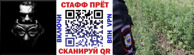 Где найти наркотики Новосиль Псилоцибиновые грибы Гашиш Марихуана СОЛЬ