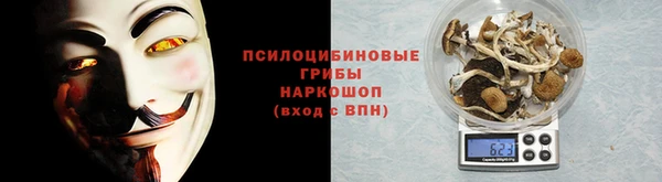 PSILOCYBIN Верхний Тагил