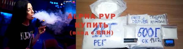 PSILOCYBIN Верхний Тагил
