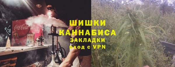 PSILOCYBIN Верхний Тагил