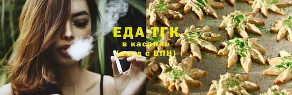 PSILOCYBIN Верхний Тагил