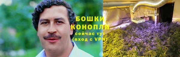 PSILOCYBIN Верхний Тагил