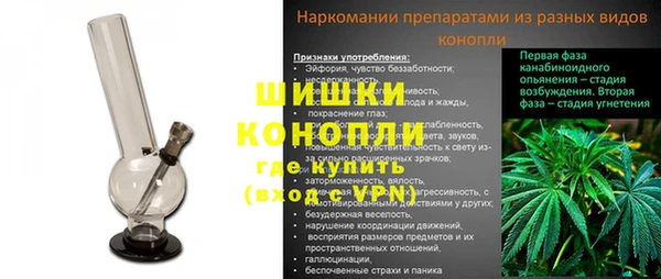PSILOCYBIN Верхний Тагил